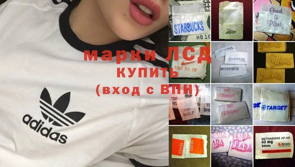 apvp Магадан