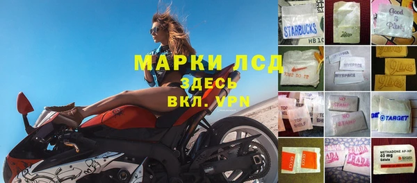 apvp Магадан