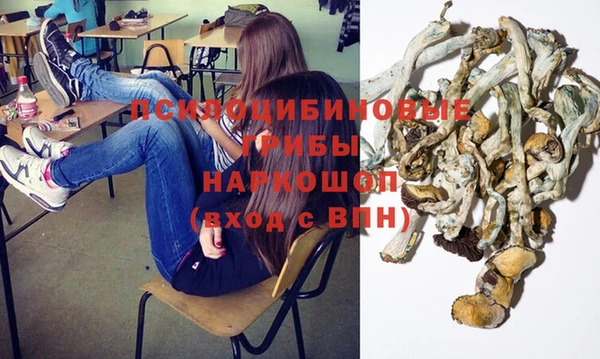 apvp Магадан