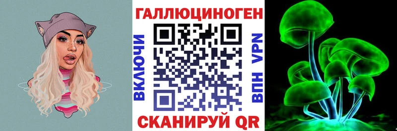 kraken   Старица  Псилоцибиновые грибы мицелий 